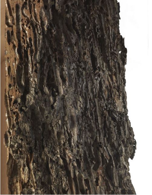 RIVA 1920 bibliothèques verticale IL BRICCOLONE