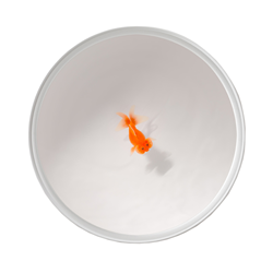 VICCARBE table basse UP IN THE AIR H 35 cm