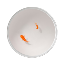 VICCARBE table basse UP IN THE AIR H 35 cm