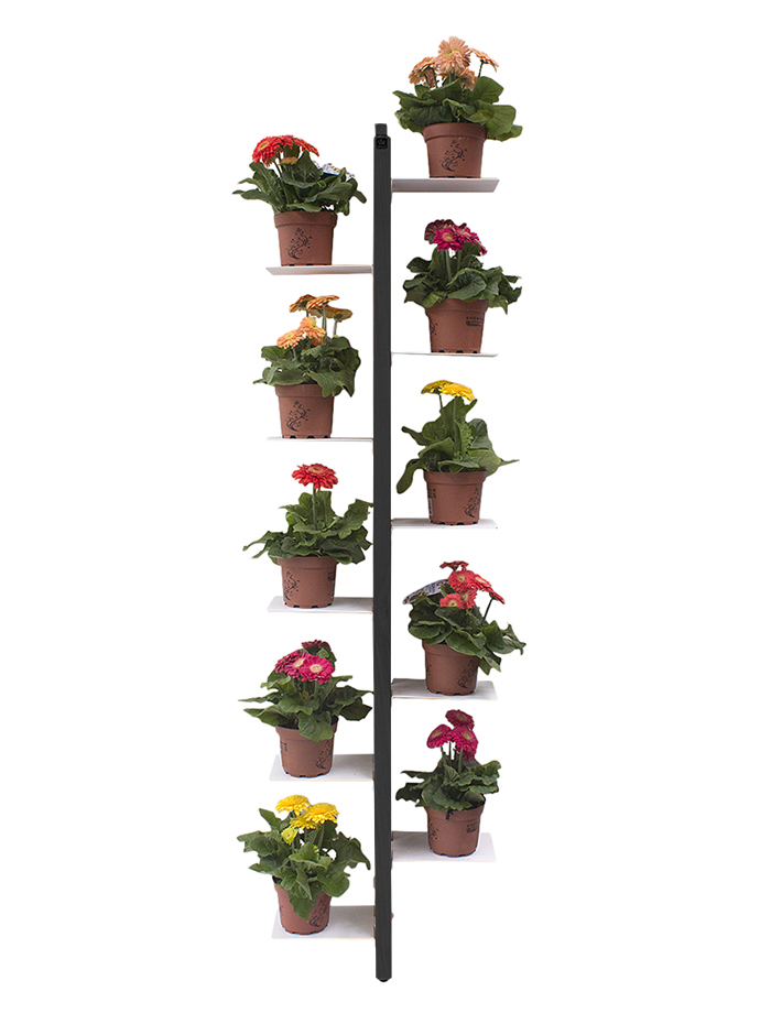 LE ZIE DI MILANO porte-plantes sur pied fixé au mur ZIA FLORA (H 156 cm / Noir - Hêtre massif et aci