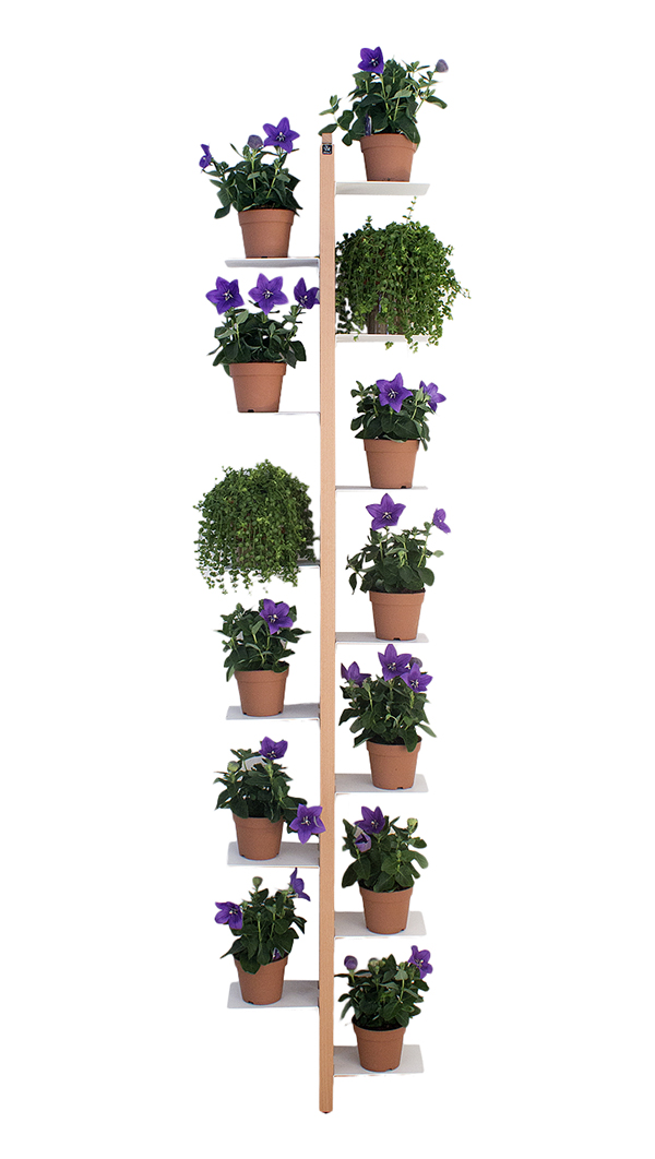 LE ZIE DI MILANO porte-plantes sur pied fixé au mur ZIA FLORA (H 202 cm / Naturel - Hêtre massif et 