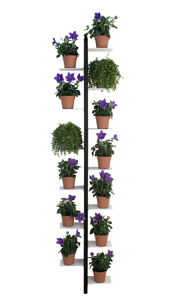 LE ZIE DI MILANO porte-plantes sur pied fixé au mur ZIA FLORA (H 202 cm / Noir - Hêtre massif et aci