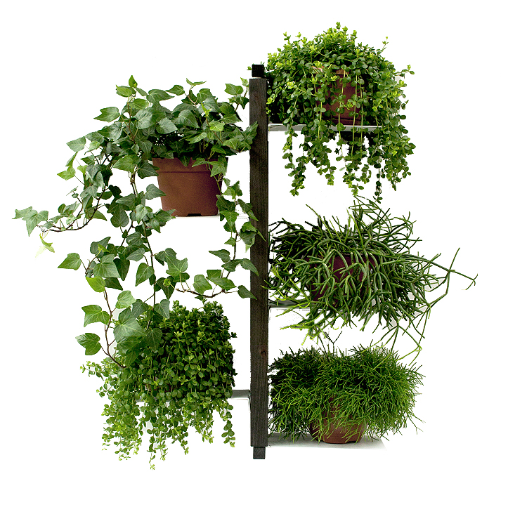 LE ZIE DI MILANO porte-plantes fixé au mur ZIA FLORA (H 66 cm / Noir - Hêtre massif et acier)