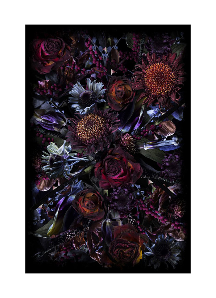 MOOOI CARPETS tapis FOOL'S PARADISE RECTANGLE Signature collection (200x300 cm - Polyamide à poils b