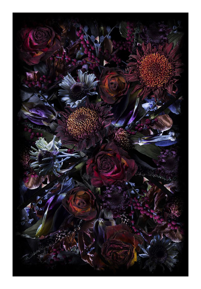 MOOOI CARPETS tapis FOOL'S PARADISE RECTANGLE Signature collection (300x400 cm - Polyamide à poils b