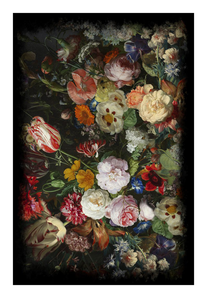 MOOOI CARPETS tapis EDEN QUEEN RECTANGLE Signature collection (200x300 cm - Polyamide à poils bas)