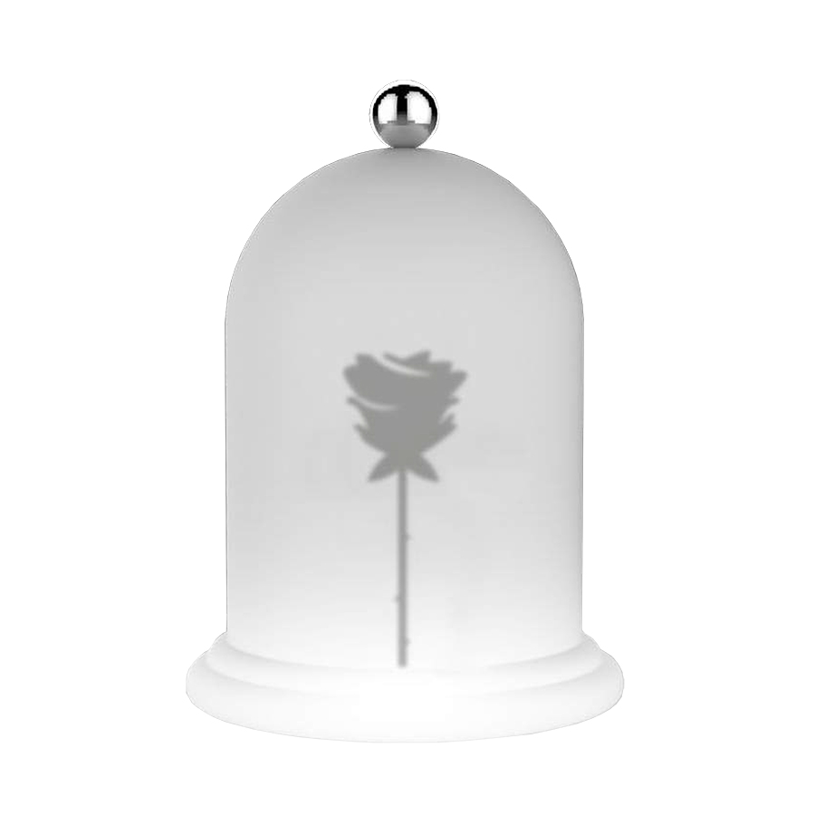 MYYOUR lampe de table ROSE LIGHT TALES COLLECTION (RGB - Poleasy Illuminable et acier)