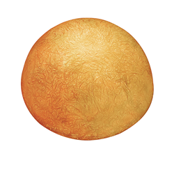 IN-ES.ARTDESIGN lampe murale applique pour extérieur BUTTON OUT