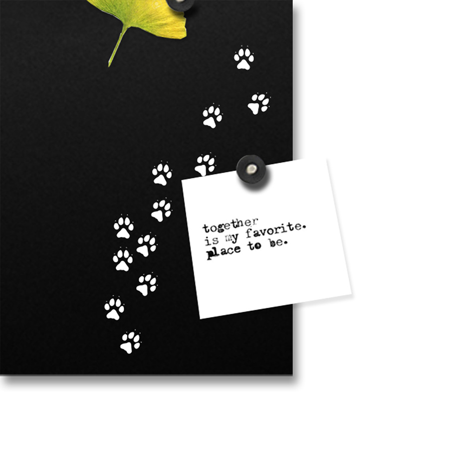 dESIGNoBJECT wall clock CAT CLOCK