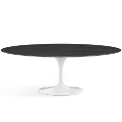 KNOLL oval table TULIP Eero Saarinen's collection 244x137 cm