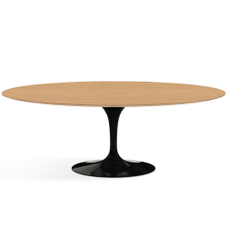 KNOLL oval table TULIP Eero Saarinen's collection 244x137 cm