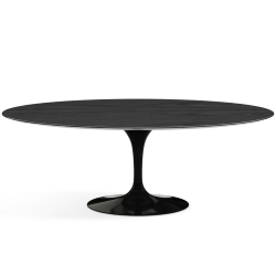 KNOLL oval table TULIP Eero Saarinen's collection 244x137 cm