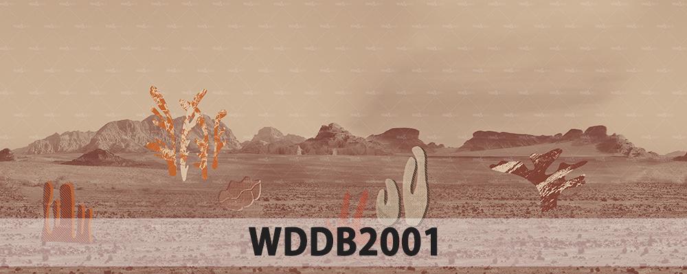 WALL & DECÒ papier peint CONTEMPORARY WALLPAPER COLLECTION 2020