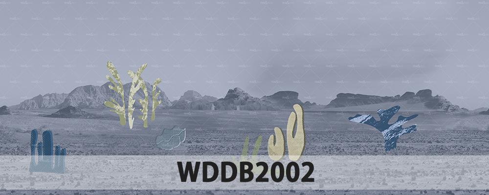 WALL & DECÒ papier peint CONTEMPORARY WALLPAPER COLLECTION 2020