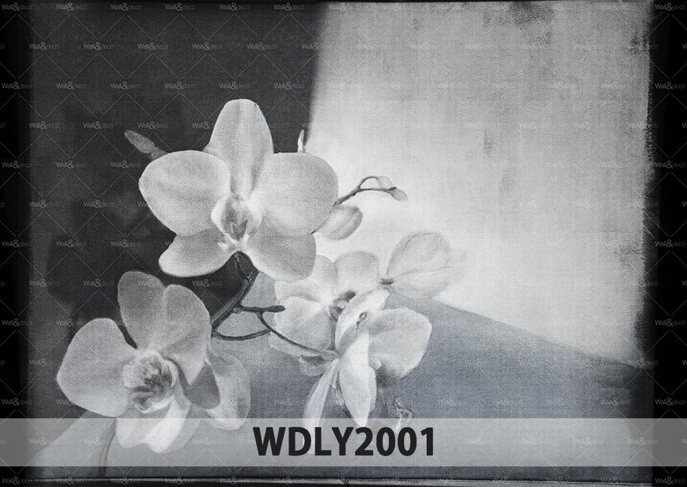 WALL & DECÒ papier peint CONTEMPORARY WALLPAPER COLLECTION 2020