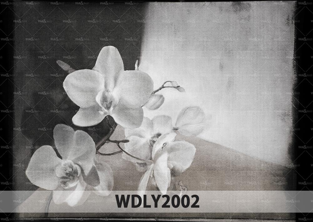 WALL & DECÒ papier peint CONTEMPORARY WALLPAPER COLLECTION 2020