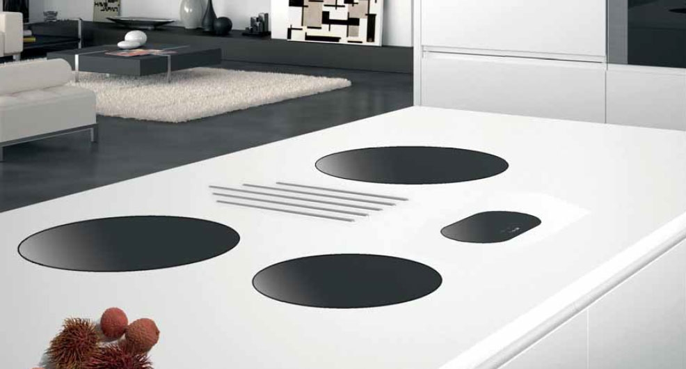 FOSTER induction hob MODULAR SERIES with 2 round zones 7366 020