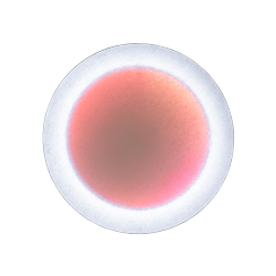 INGO MAURER wall lamp MOODMOON