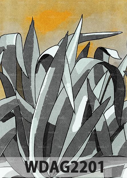 WALL & DECÒ papier peint CONTEMPORARY WALLPAPER COLLECTION 2022