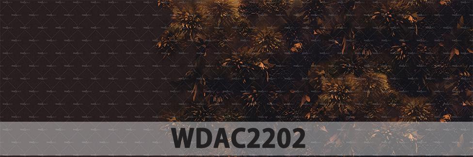 WALL & DECÒ papier peint CONTEMPORARY WALLPAPER COLLECTION 2022