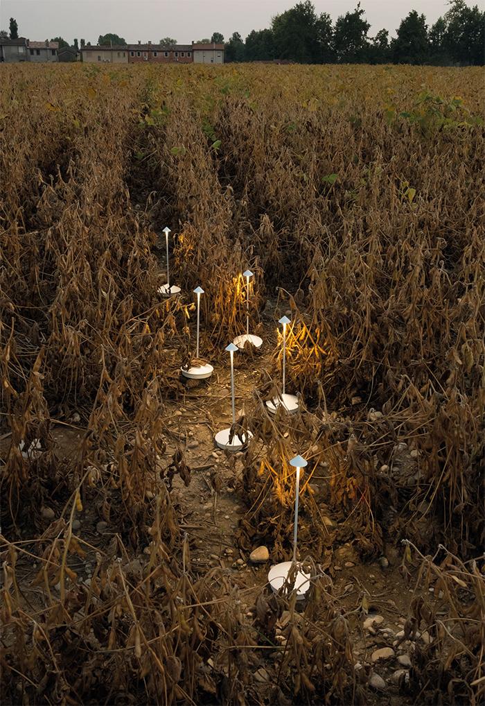 ZAFFERANO set de 3 lampes de table pour l'extérieur PINA