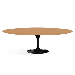 KNOLL oval table TULIP Eero Saarinen's collection 244x137 cm