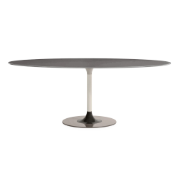 KARTELL oval table THIERRY XXL